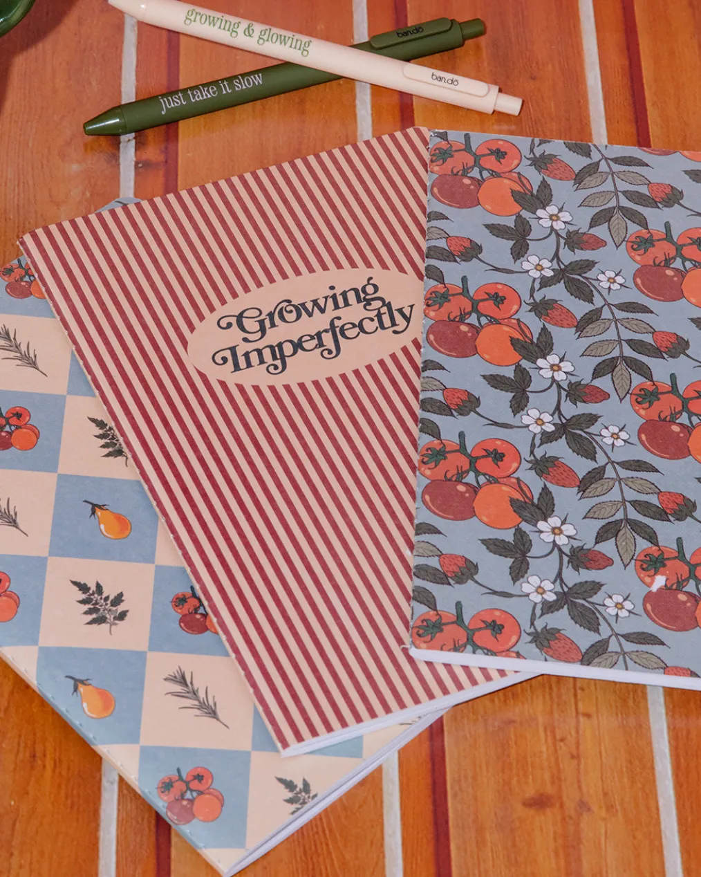 Hold That Thought Notebook Set - Growing Imperfectly