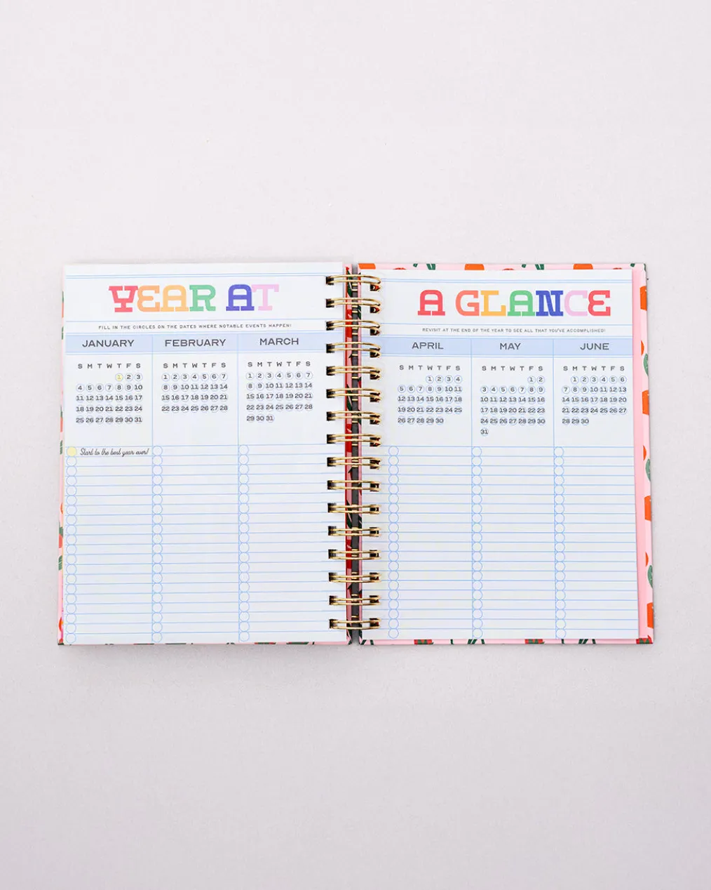 Medium 17-Month Academic Planner - Mid Century