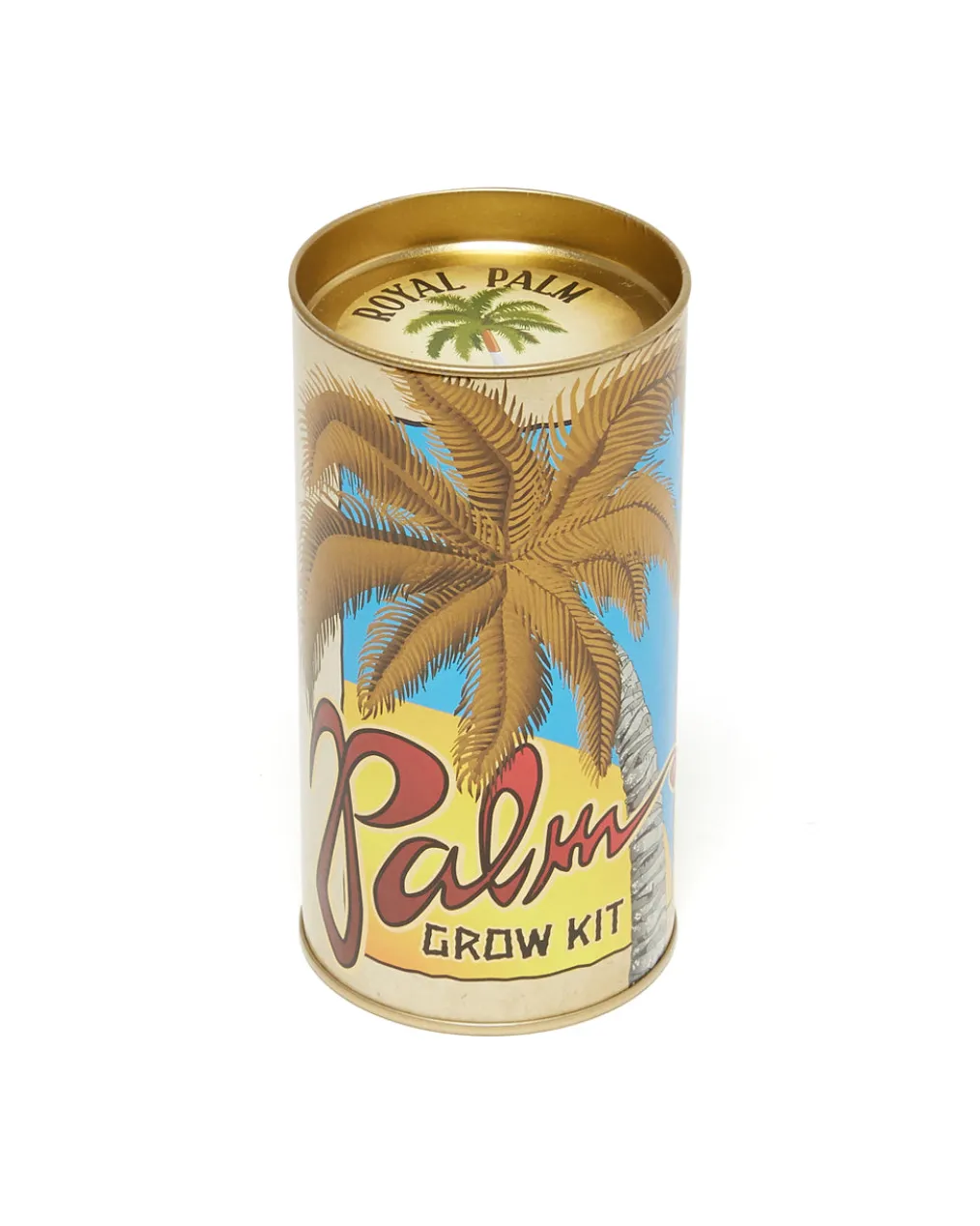 Palm Tree - Seed Grow Kit - Royal Palm
