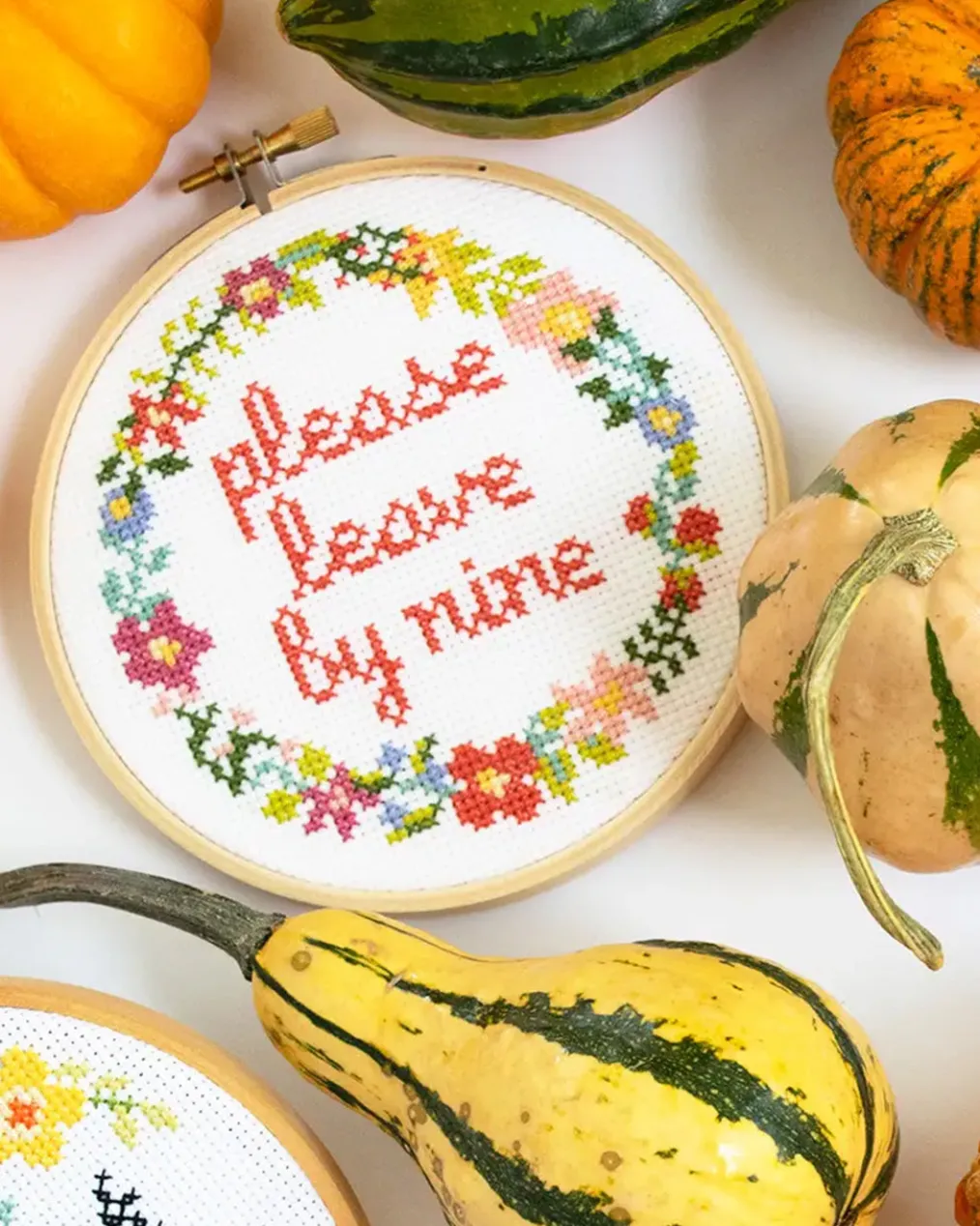 Please Leave By Nine Cross Stitch Kit
