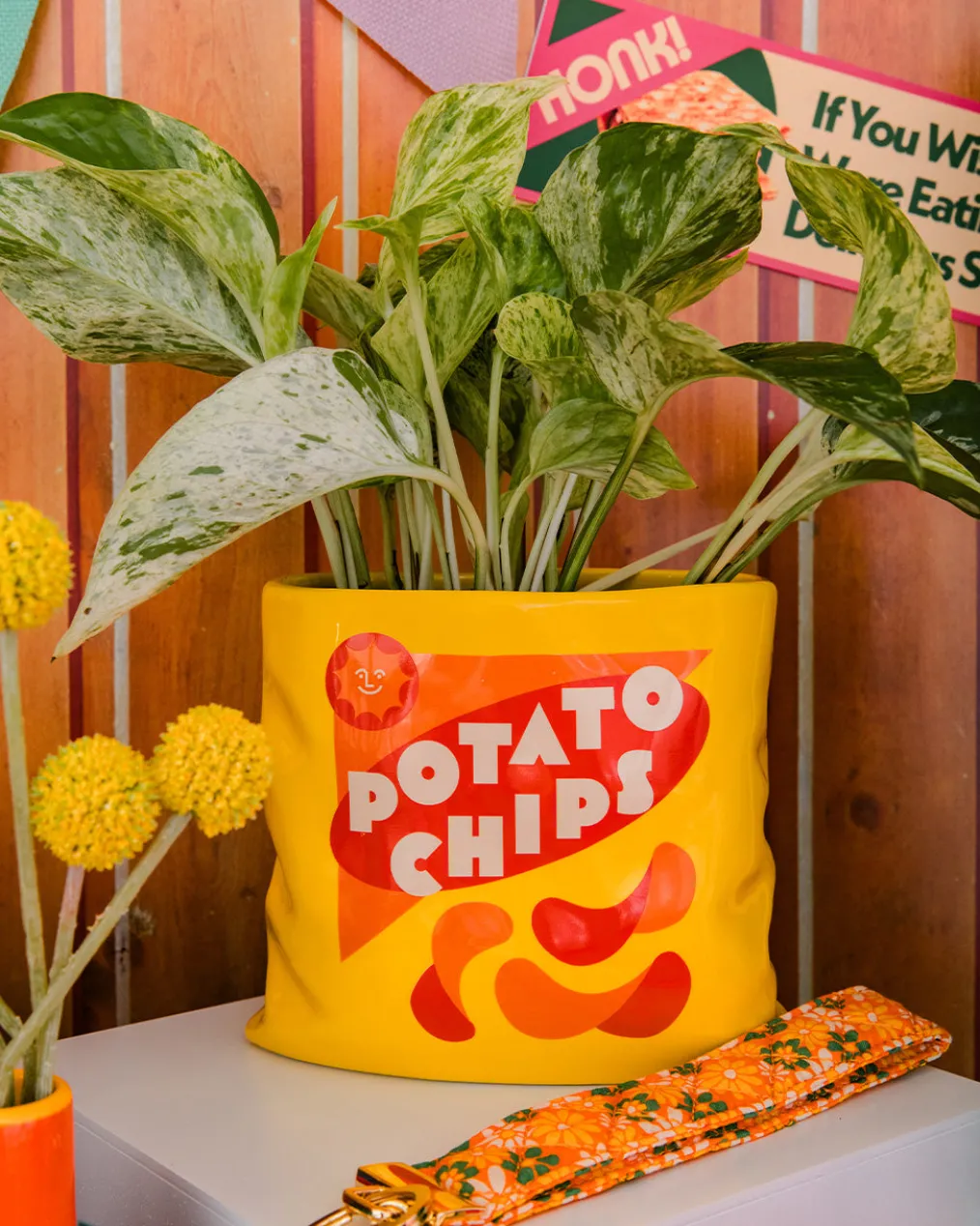 Potato Chips Ceramic Vase