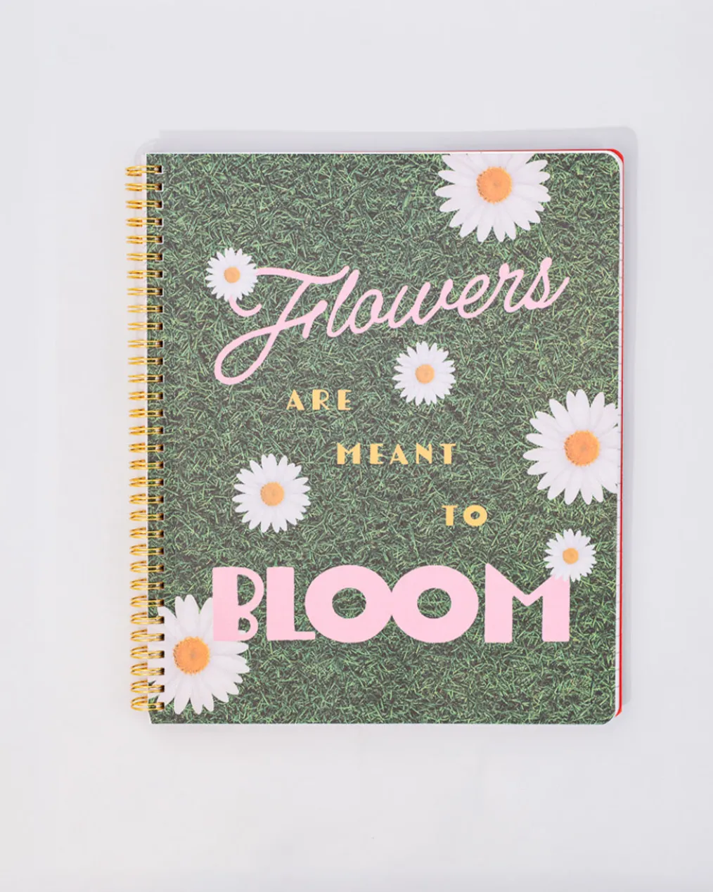 Rough Draft Large Notebook - Floral Stripe