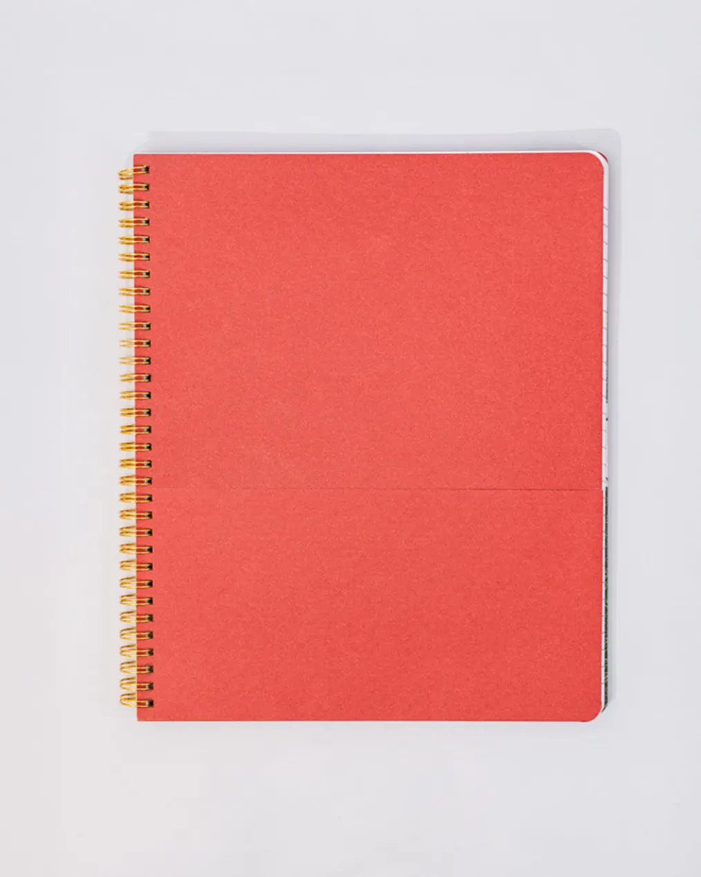 Rough Draft Large Notebook - Floral Stripe